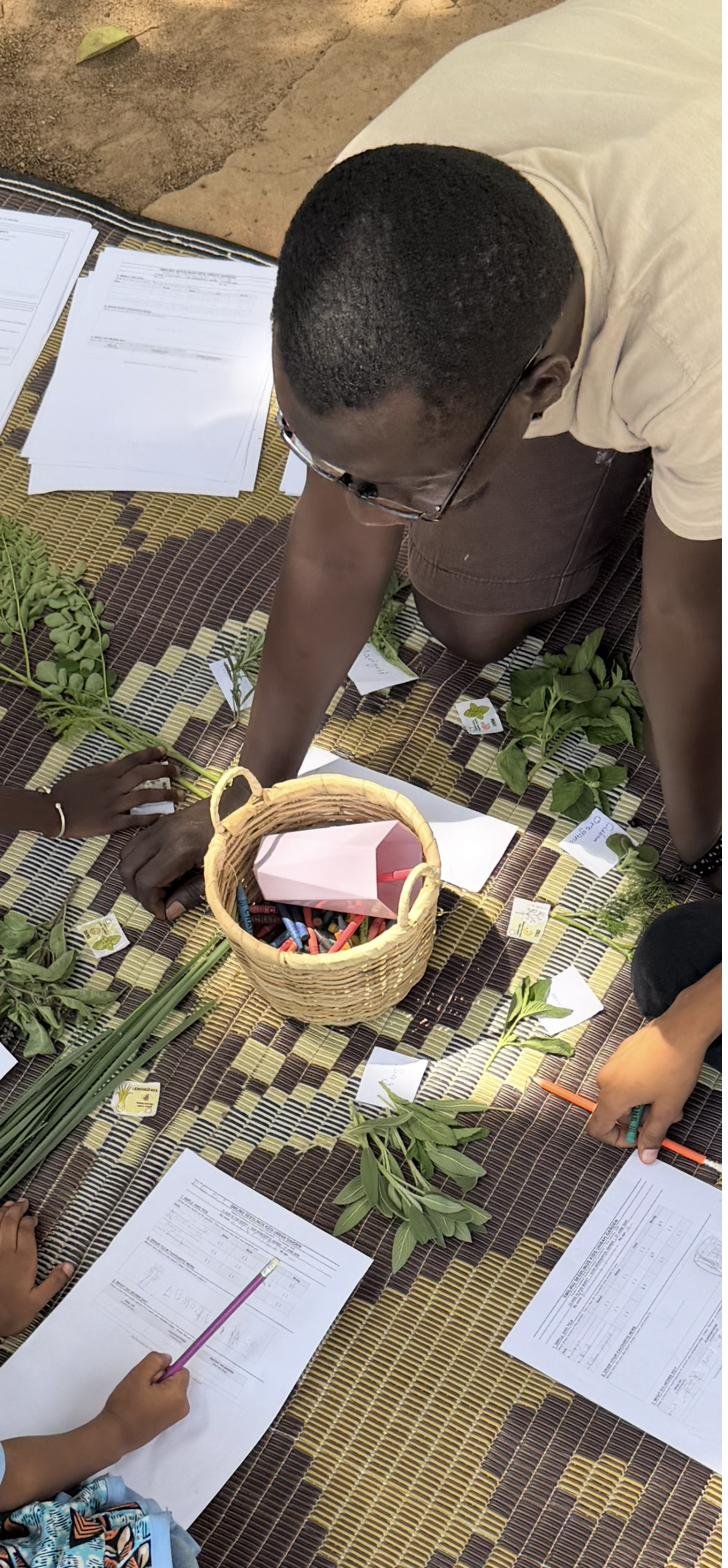 A helper leading a plant identification lesson with labelled herbs and worksheets