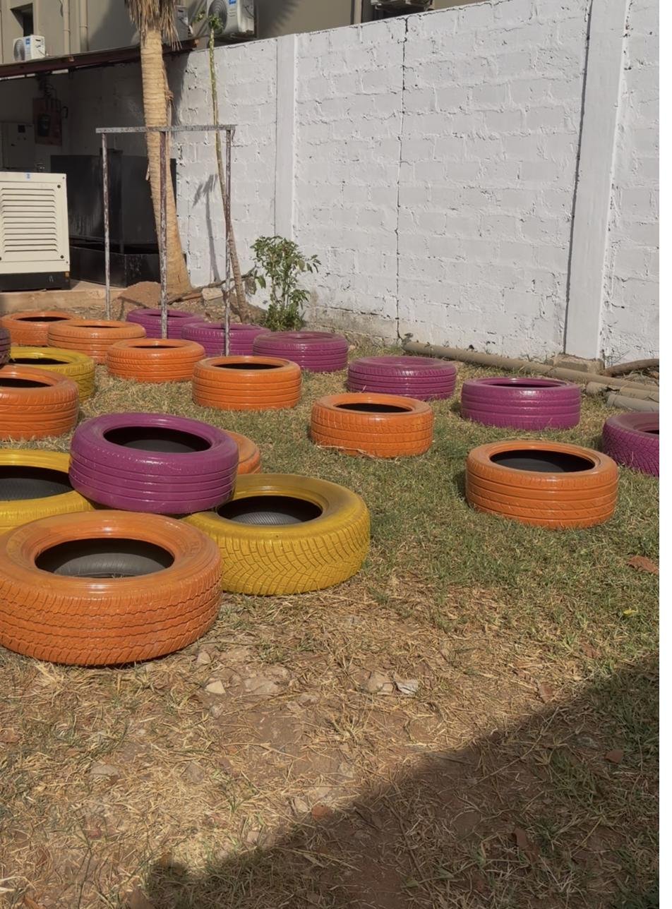 Freshly painted tyre beds arranged and ready for planting